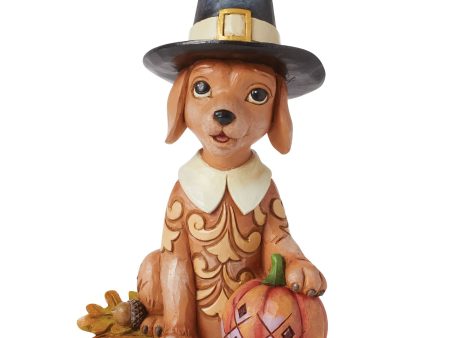 Dog with Pilgrim Hat Figurine Cheap