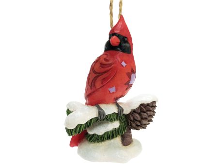 Caring Cardinals Winter Bless Sale