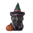 Mini Black Cat Online Sale