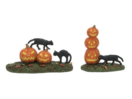 Scary Cats Pumpkins ST 2 For Cheap