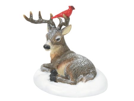 Cardinal Christmas Deer Supply