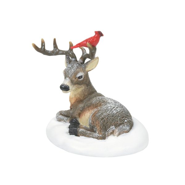 Cardinal Christmas Deer Supply