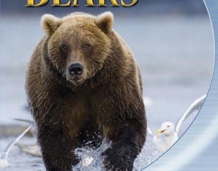 BEARS [BLU-RAY] Fashion